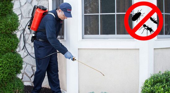Eruh Gümüşkurt İlaçlama böcek ilaçlama ve haşere kontrolü — ilaclama-tr.com